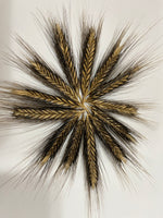 Load image into Gallery viewer, Wheat (Einkorn) - Black and Tan