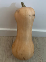 Load image into Gallery viewer, Squash (Winter) - Butternut