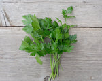 Load image into Gallery viewer, Herb - Parsley Flat Leaf