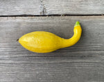 Load image into Gallery viewer, Squash (Summer) - Yellow Crookneck