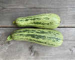 Load image into Gallery viewer, Squash (Zucchini) - Caserta