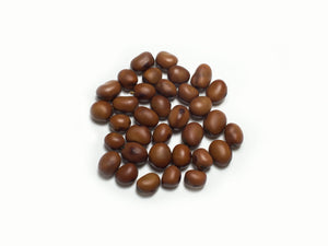 Broad Bean/Fava - Bell