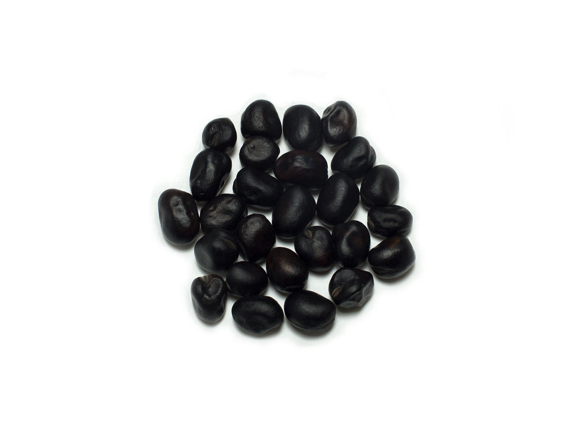 Broad Bean/Fava Black Prairie Garden Seeds