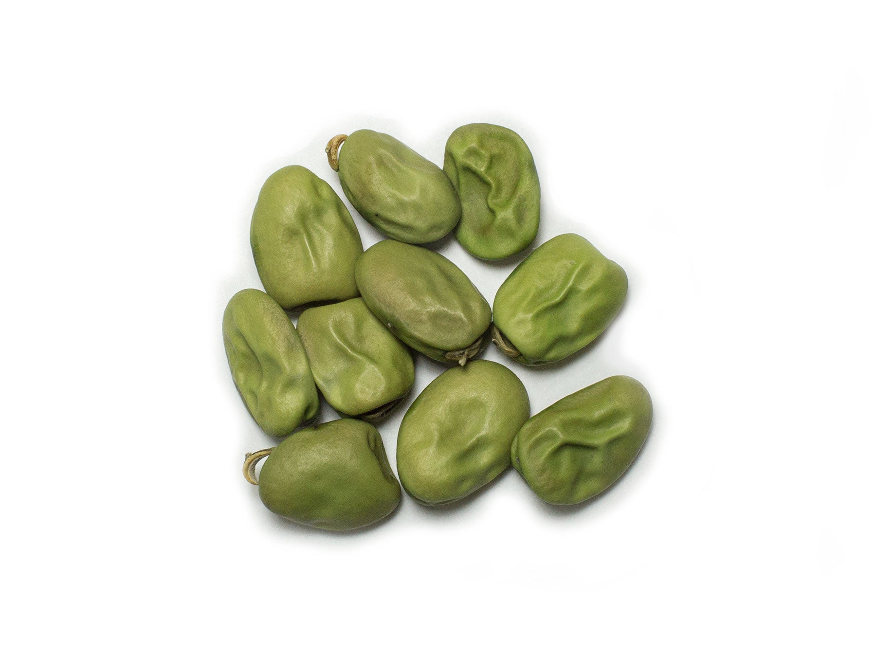 Broad Bean/Fava - Cambridge Scarlet