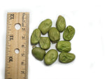 Load image into Gallery viewer, Broad Bean/Fava - Cambridge Scarlet
