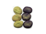 Load image into Gallery viewer, Broad Bean/Fava - Ianto's Return