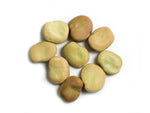 Load image into Gallery viewer, Broad Bean/Fava - Polar