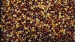 Load image into Gallery viewer, Dry Corn - Cascade Ruby-Gold