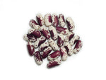 Load image into Gallery viewer, Dry Bean (Bush) - Jacob's Cattle