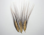 Load image into Gallery viewer, Wheat (Durum) - Black Tip