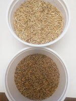 Load image into Gallery viewer, Intermediate Wheatgrass