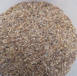 Load image into Gallery viewer, Intermediate Wheatgrass