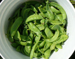 Load image into Gallery viewer, Snow Pea (Bush) - Oregon Giant
