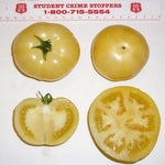 Load image into Gallery viewer, Blanche du Quebec