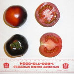 Load image into Gallery viewer, Indigo Rose