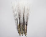 Load image into Gallery viewer, Wheat (Durum) - De Cañete la Réal