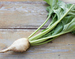Load image into Gallery viewer, Beet - Albina Vereduna