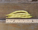 Load image into Gallery viewer, Yellow/Wax Bean (Bush) - Golden Rod