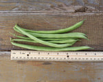 Load image into Gallery viewer, Green Bean (Bush) - Greencrop