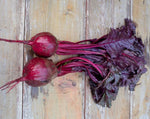 Load image into Gallery viewer, Beet - Bull's Blood