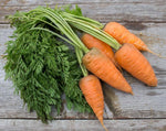 Load image into Gallery viewer, Carrot - Oxheart/Guerande