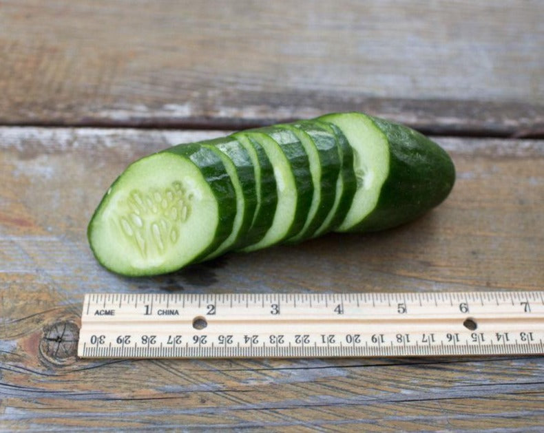 Cucumber - Super Zagross