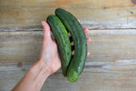 Load image into Gallery viewer, Cucumber - Tante Alice