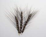 Load image into Gallery viewer, Wheat (Bread) - Black Decorative