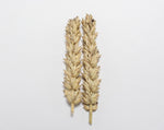 Load image into Gallery viewer, Wheat (Bread) - Hard Red Calcutta
