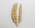 Load image into Gallery viewer, Wheat (Bread) - Red Bobs
