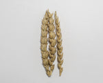 Load image into Gallery viewer, Wheat (Bread) - Red Fife