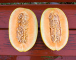 Load image into Gallery viewer, Melon - Boughem