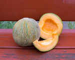 Load image into Gallery viewer, Melon - Farnorth