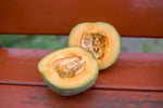 Load image into Gallery viewer, Melon - Farnorth