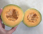 Load image into Gallery viewer, Melon - Petit Gris de Rennes