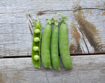 Load image into Gallery viewer, Shelling Pea (Bush) - Early Onward