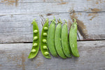Load image into Gallery viewer, Shelling Pea (Bush) - Large Manitoba