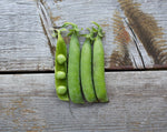 Load image into Gallery viewer, Shelling Pea (Bush) - Triple Treat