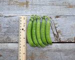 Load image into Gallery viewer, Shelling Pea (Bush) - Homesteader