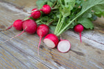 Load image into Gallery viewer, Radish - Cherry Belle