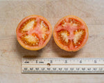 Load image into Gallery viewer, Clare’s Tomato