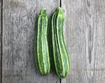 Load image into Gallery viewer, Squash (Zucchini) - Costata Romanesco