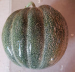 Load image into Gallery viewer, Melon - Petit Gris de Rennes