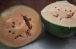 Load image into Gallery viewer, Watermelon - Sweet Siberian