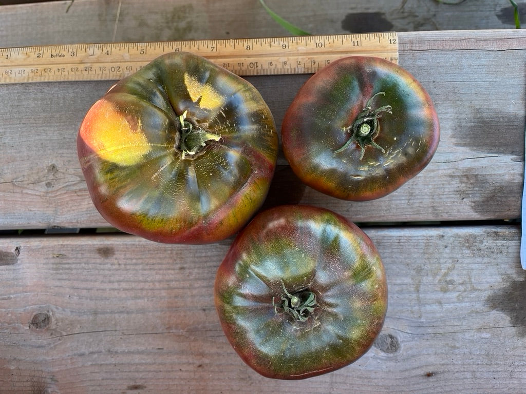 Tomatoes – Tagged 