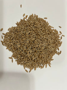 Wheat (Einkorn) - Black and Tan
