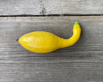 Load image into Gallery viewer, Squash (Summer) - Yellow Crookneck

