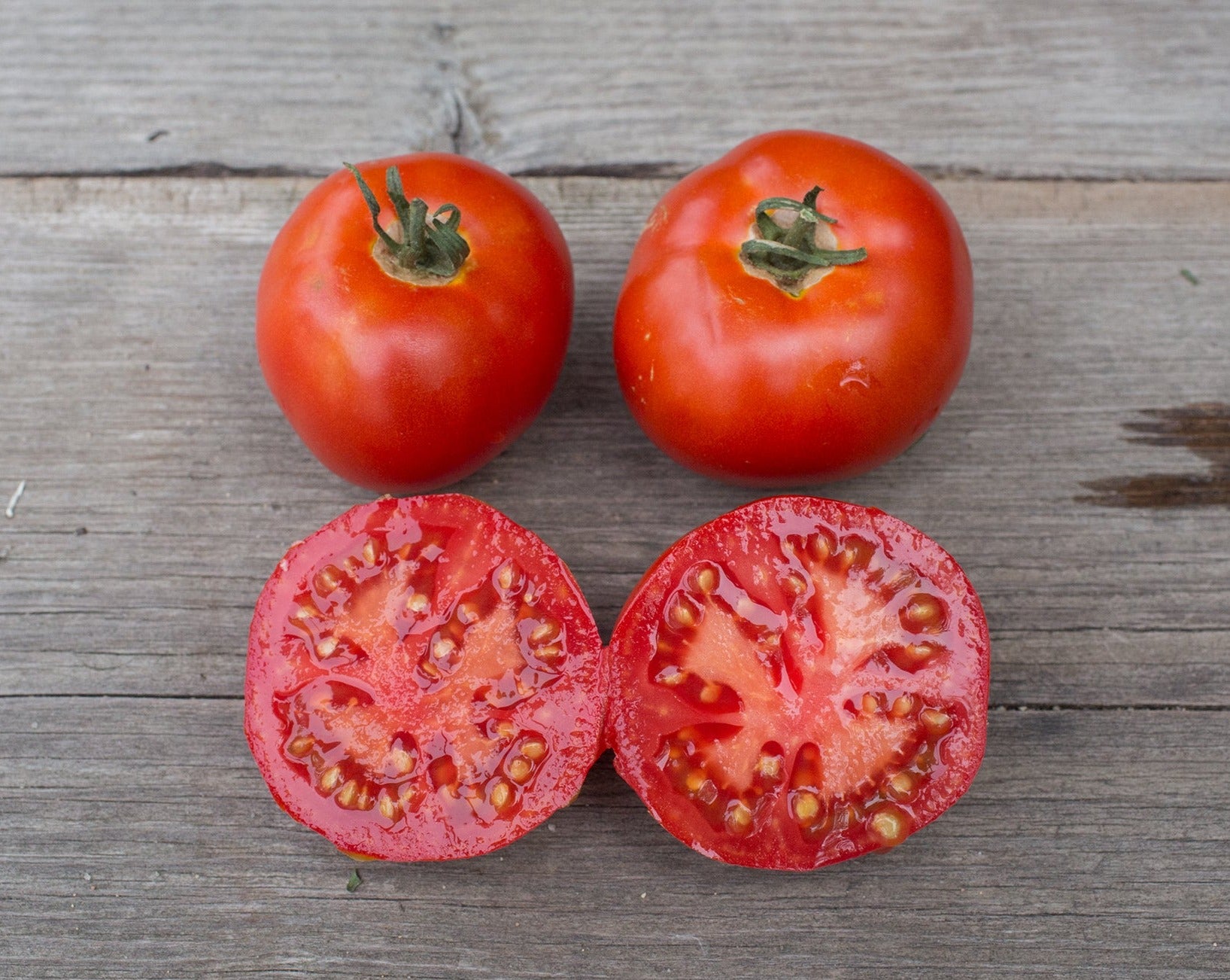 【レッチリとまと】 Tomatoes – Tagged 