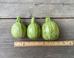 Load image into Gallery viewer, Squash (Zucchini) - Round
