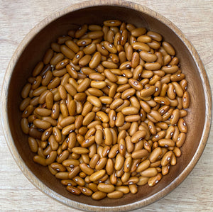 Dry Bean (Bush) - Norwegian Brown
